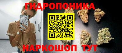 ПСИЛОЦИБИНОВЫЕ ГРИБЫ Будённовск